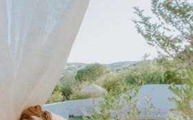 Slow House Green Villa
